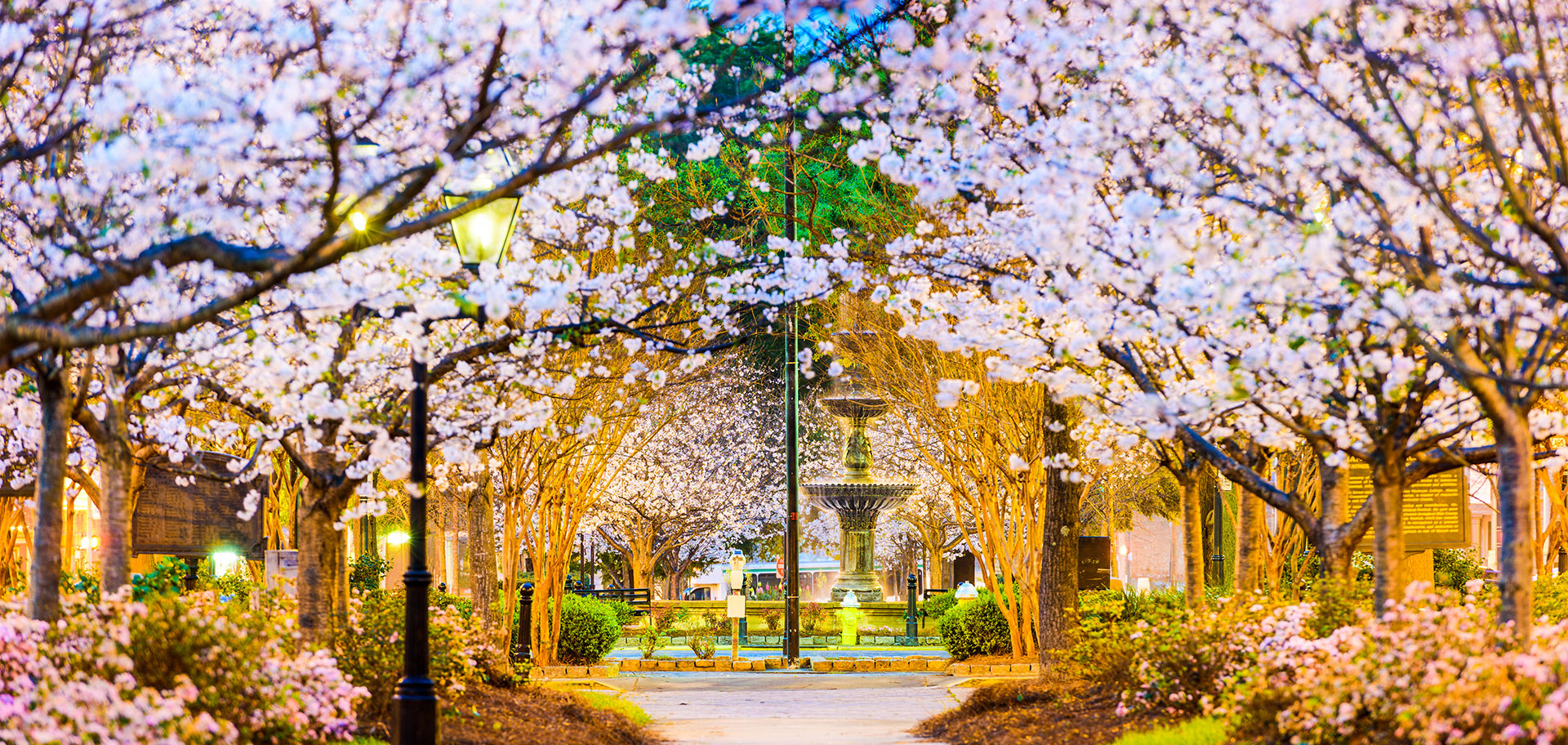 Macon GA Cherry Blossom Festival